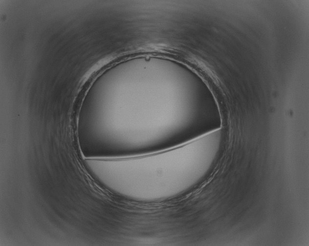 X0000086221308200703290953