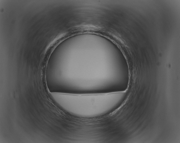 X0000086221309200703290953