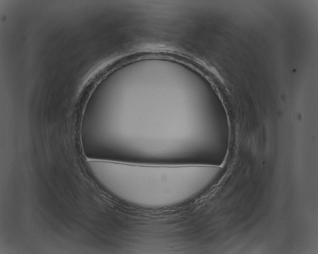 X0000086221311200703290953