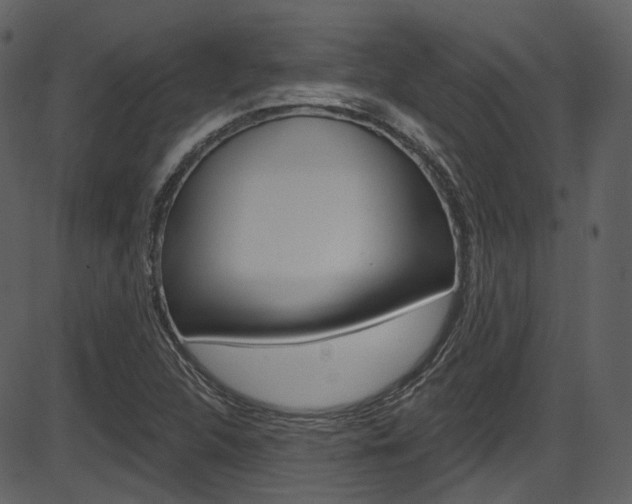 X0000086221312200703290953