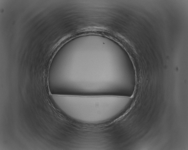 X0000086221313200703290953