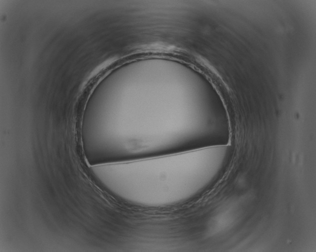 X0000086221315200703290953