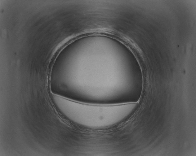 X0000086221316200703290953