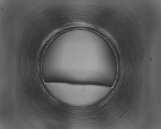 X0000086221318200703290953