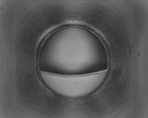 X0000086221319200703290953