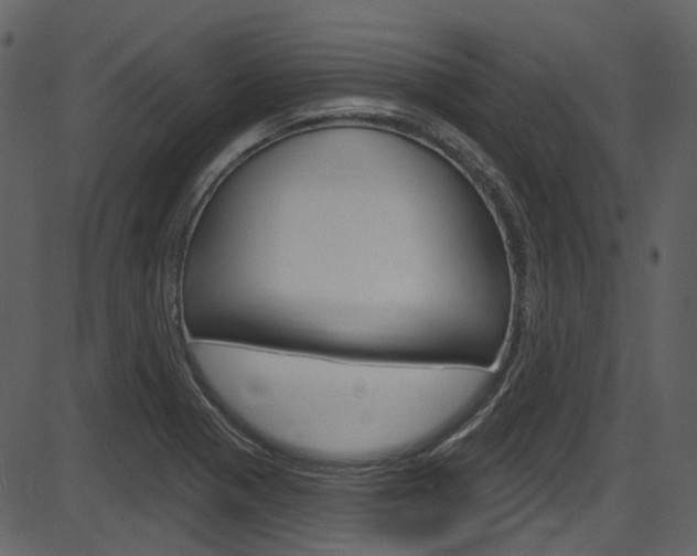 X0000086221321200703290954