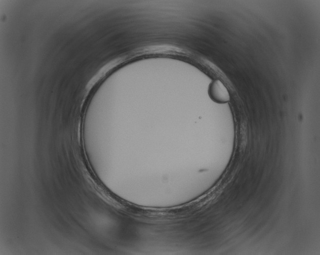 X0000086221322200703290954