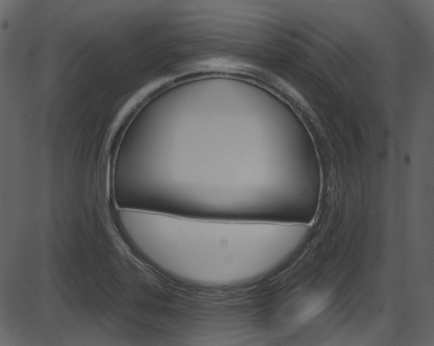 X0000086221323200703290954