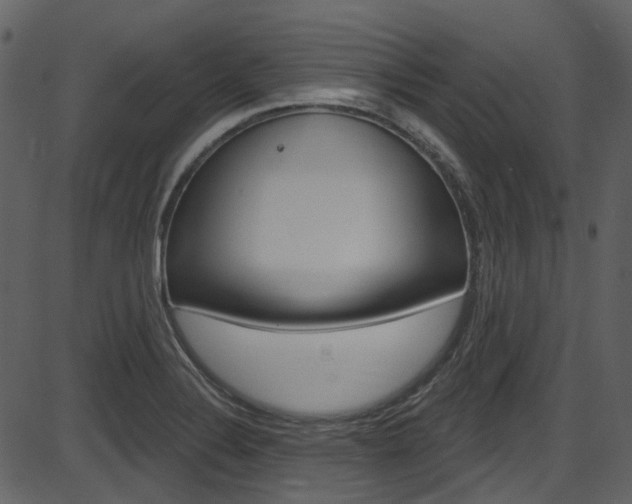 X0000086221324200703290954