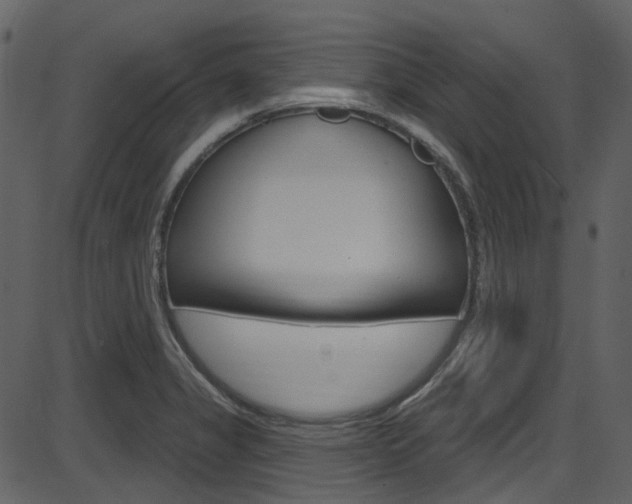 X0000086221325200703290954