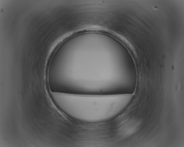 X0000086221327200703290954