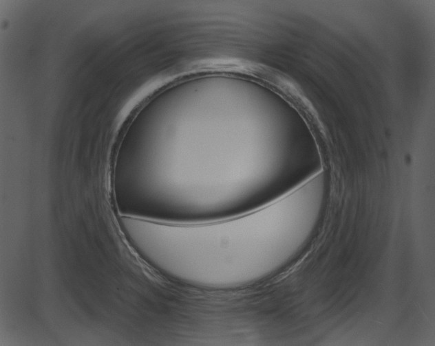 X0000086221328200703290954