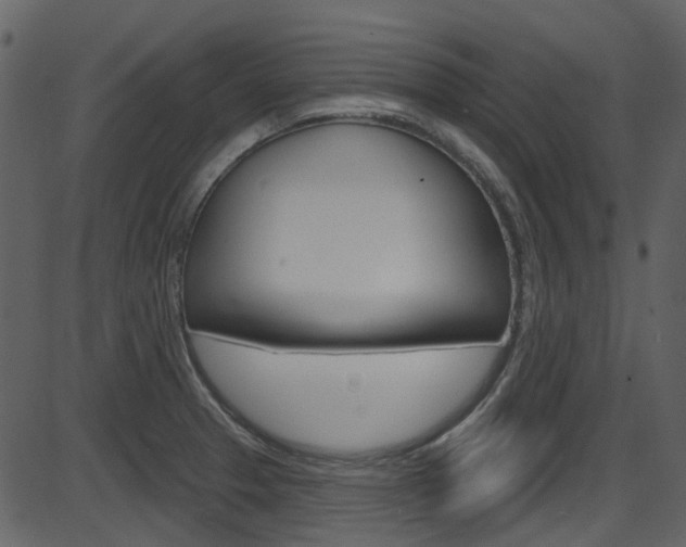 X0000086221329200703290954