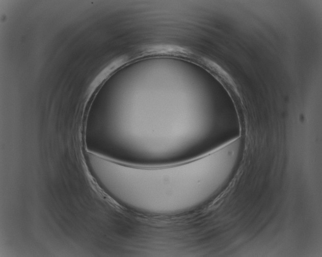 X0000086221330200703290954
