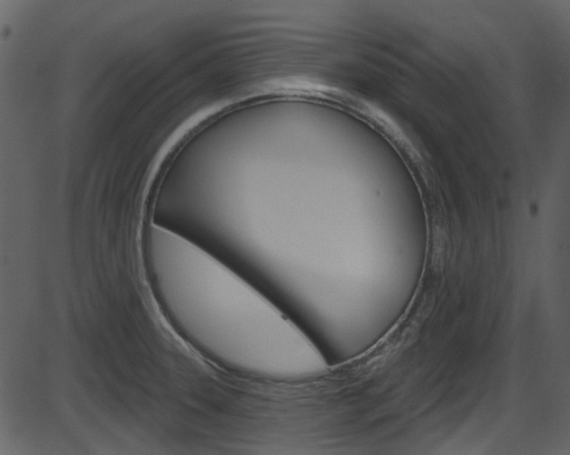 X0000086221331200703290954
