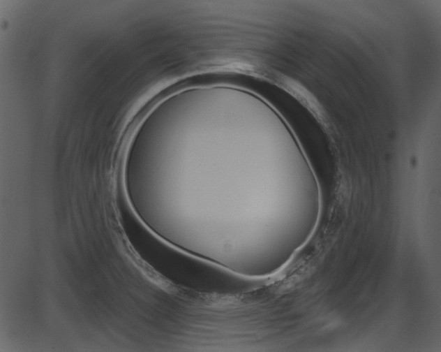 X0000086221332200703290954