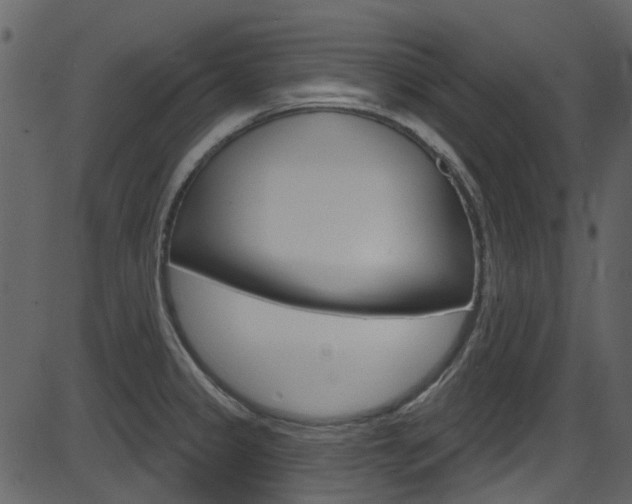 X0000086221333200703290954