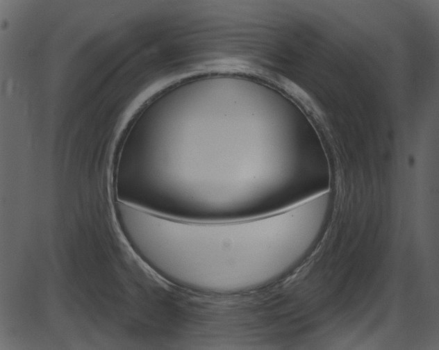 X0000086221334200703290954