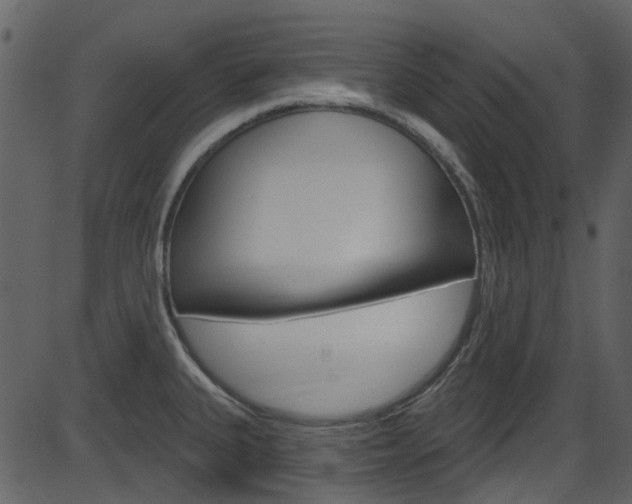 X0000086221335200703290954