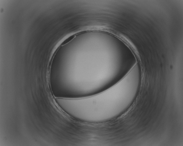X0000086221340200703290954