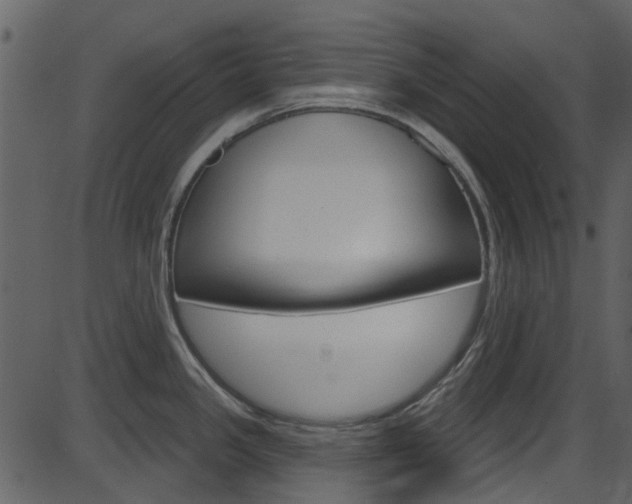 X0000086221341200703290954