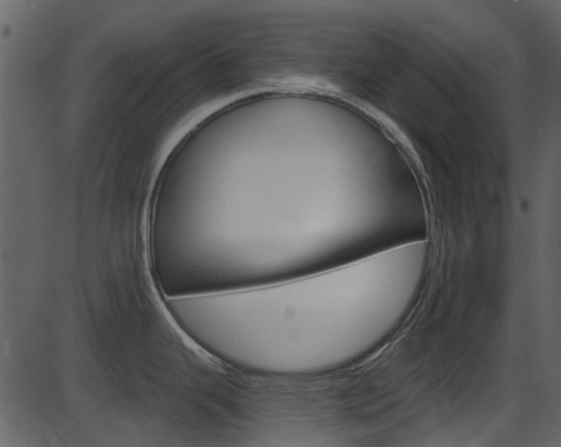 X0000086221343200703290954