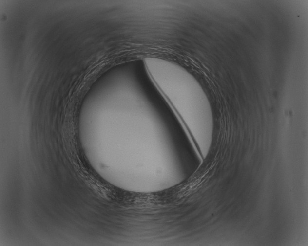 X0000086221345200703290953