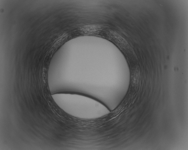 X0000086221346200703290953