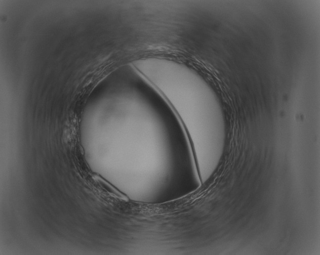 X0000086221349200703290953