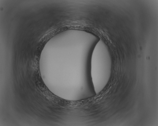X0000086221350200703290953