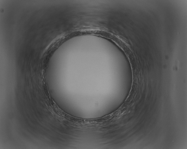 X0000086221351200703290953