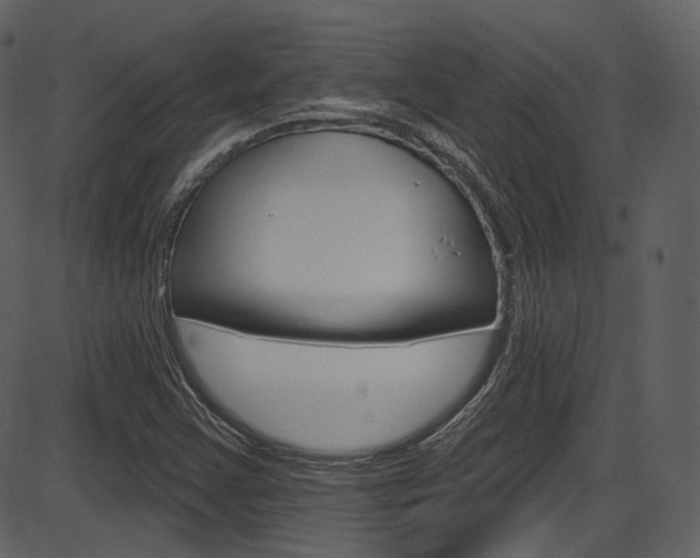 X0000086221355200703290953