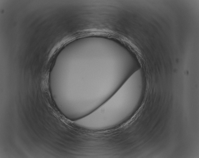 X0000086221357200703290953