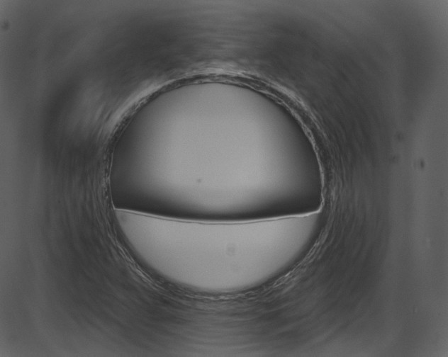 X0000086221359200703290953