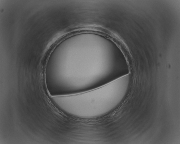 X0000086221360200703290953