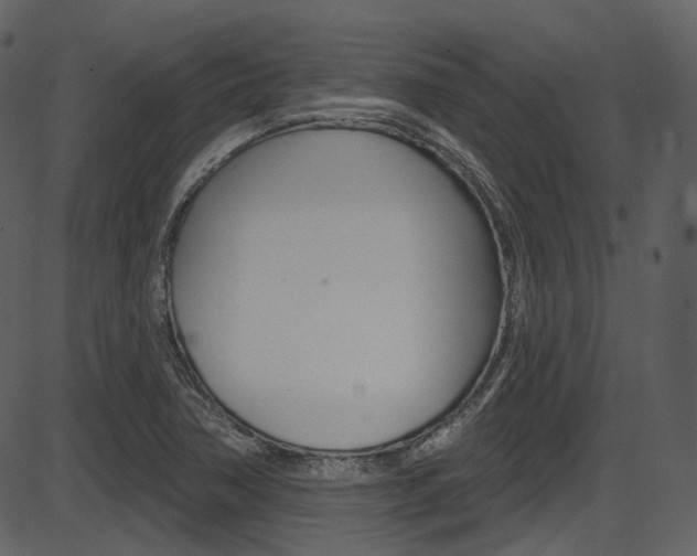 X0000086221362200703290953