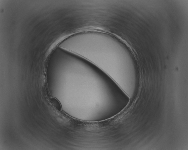 X0000086221363200703290953