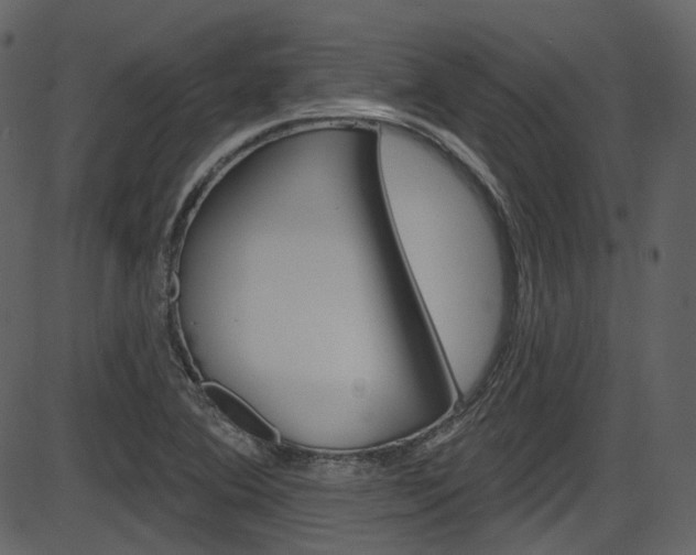 X0000086221364200703290953