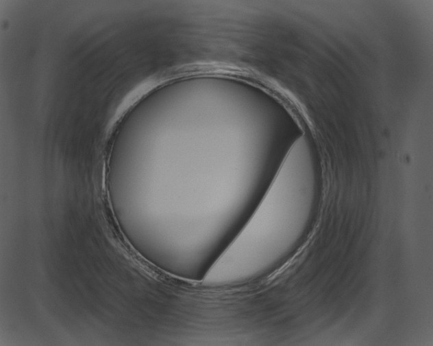 X0000086221365200703290953