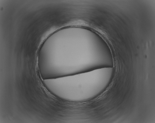X0000086221366200703290953