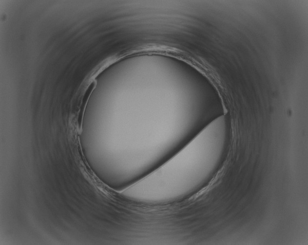 X0000086221369200703290953