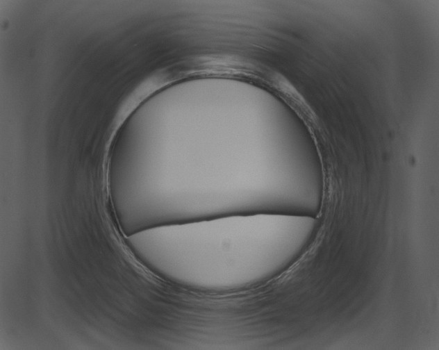 X0000086221370200703290953