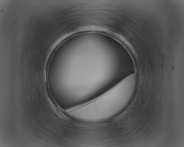 X0000086221372200703290953