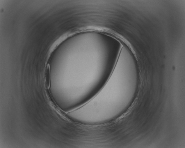 X0000086221373200703290953