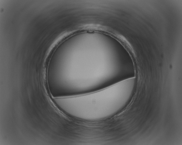 X0000086221376200703290953