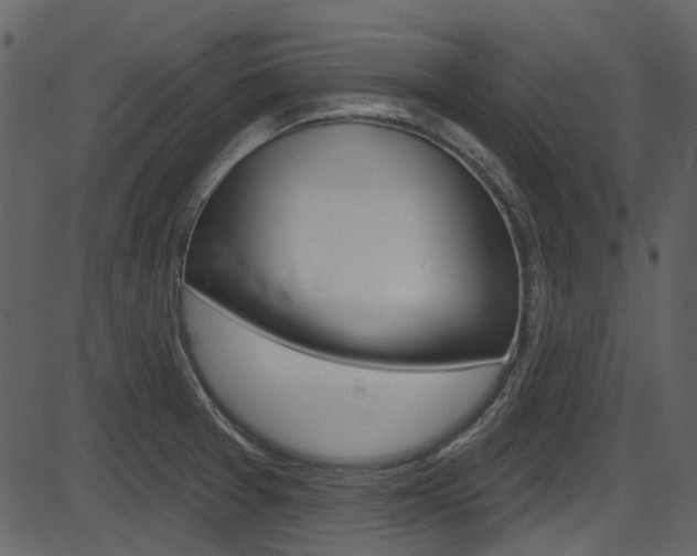 X0000086221377200703290953