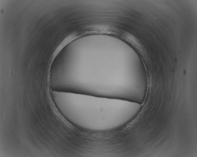 X0000086221378200703290953