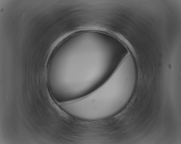 X0000086221380200703290952