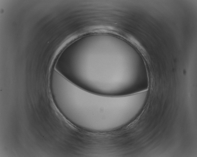X0000086221384200703290952