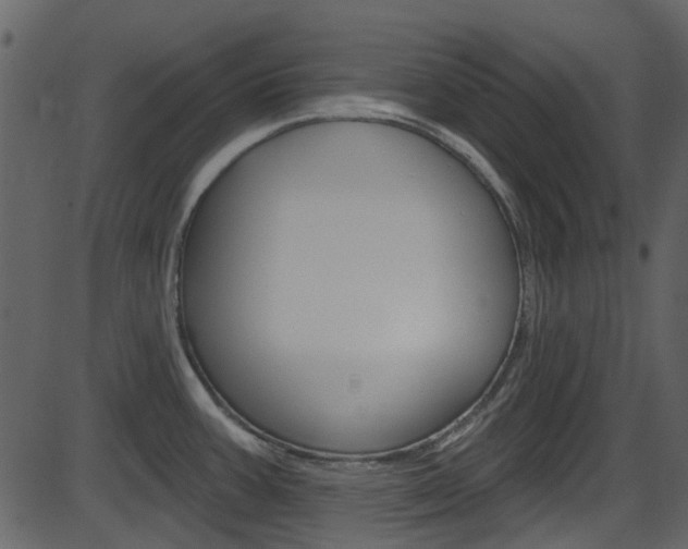 X0000086221387200703290952
